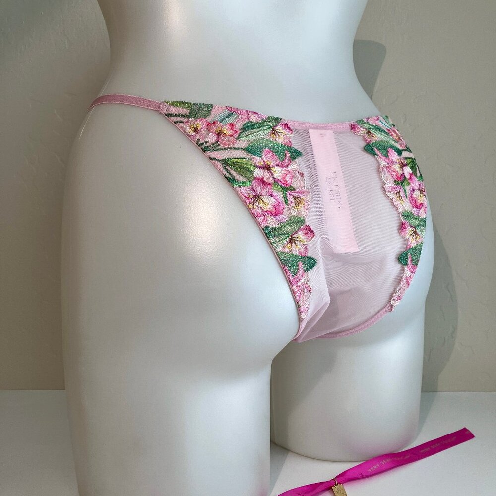 VS Dream Angels Floral Mesh Lace Brazilian Panty Pink NWT M